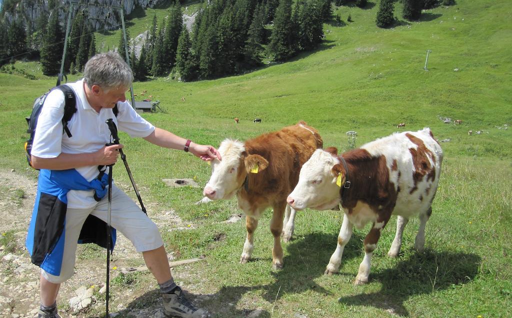 شقة Haus Tirol تيرسي الغرفة الصورة
